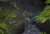 banya_0