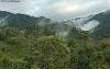 tuman